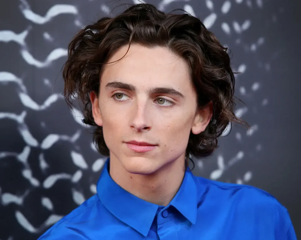 Close-up portrait of actor Yassir Lester with voluminous curly dark hair and a short beard, wearing a patterned blue and gold shirt against a dark quilted background at a red carpet event