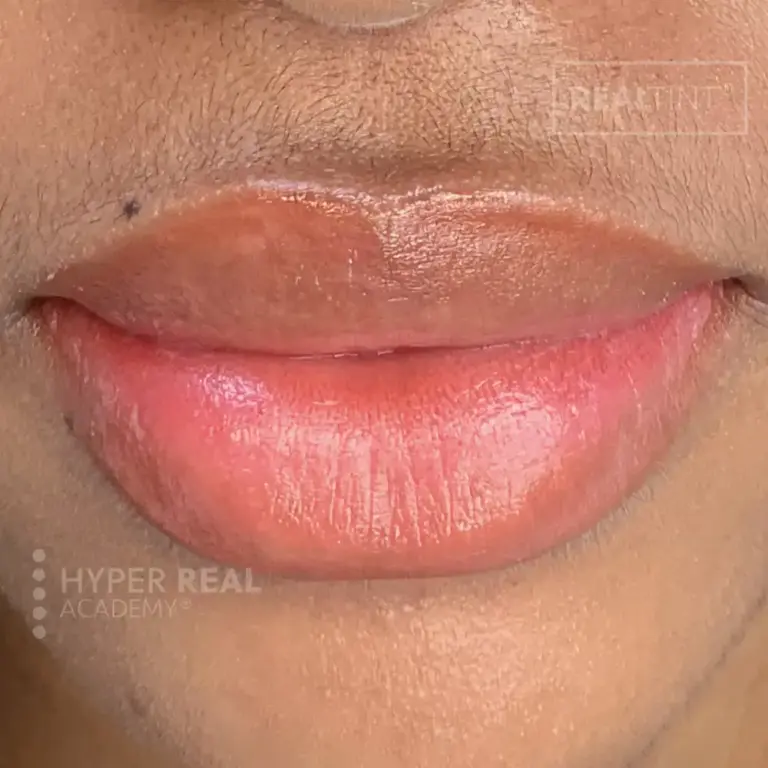 Lip blush mapping comparison - left shows blue/purple stencil outline, right shows finished pink-nude pigment. Watermark 'UNIVERSAL ACADEMY' visible. Educational before/after photo.